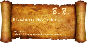 Blauhorn Nándor névjegykártya